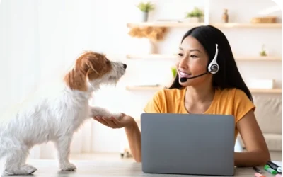 Achieving Customer Care Excellence with Global Support for Petcare Provider